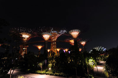 Сингапур, уличное шоу «Садовая рапсодия»